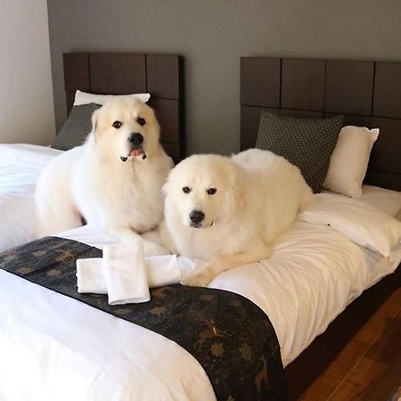 Miyajima Shiro Hotell Hatsukaichi Eksteriør bilde