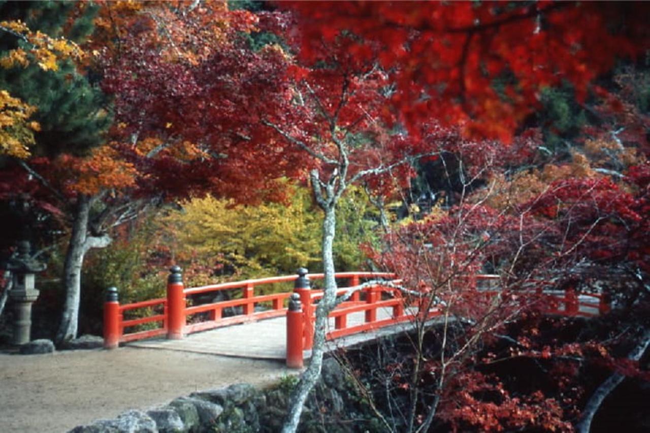 Miyajima Shiro Hotell Hatsukaichi Eksteriør bilde